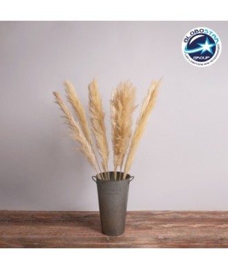 GloboStar® PAMPASGRASS 36509 Αποξηραμένο Φυτό Γρασίδι της Πάμπας - Μπουκέτο Διακοσμητικών Κλαδιών Μπεζ - Εκρού Υ120cm - Σετ 5 τμχ